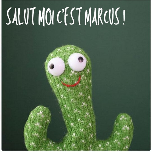 Pourquoi Marcus le Cactus est le Cadeau Idéal pour Tous les Âges