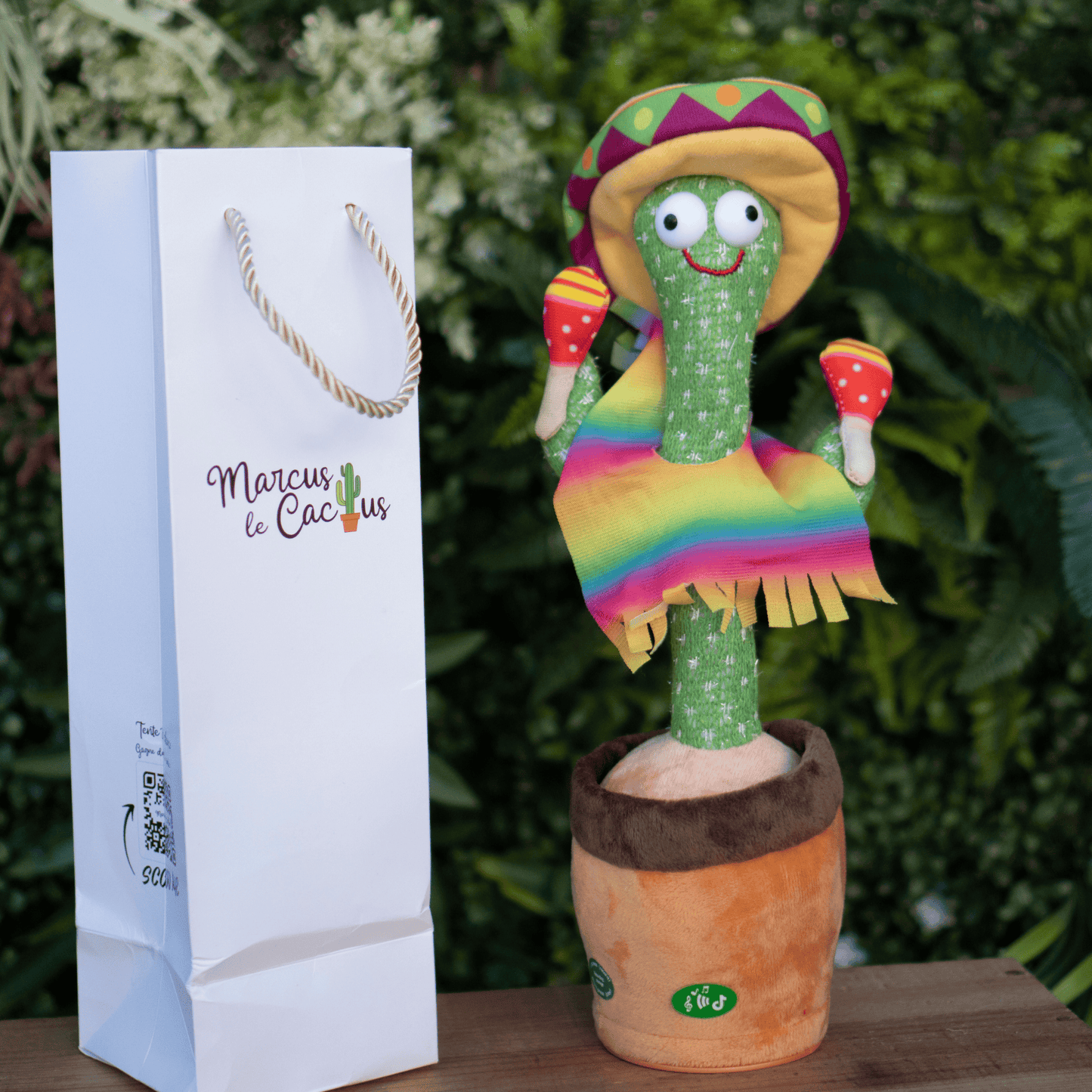 Marcus the Cactus™ - Cactus that talks, sings and dances