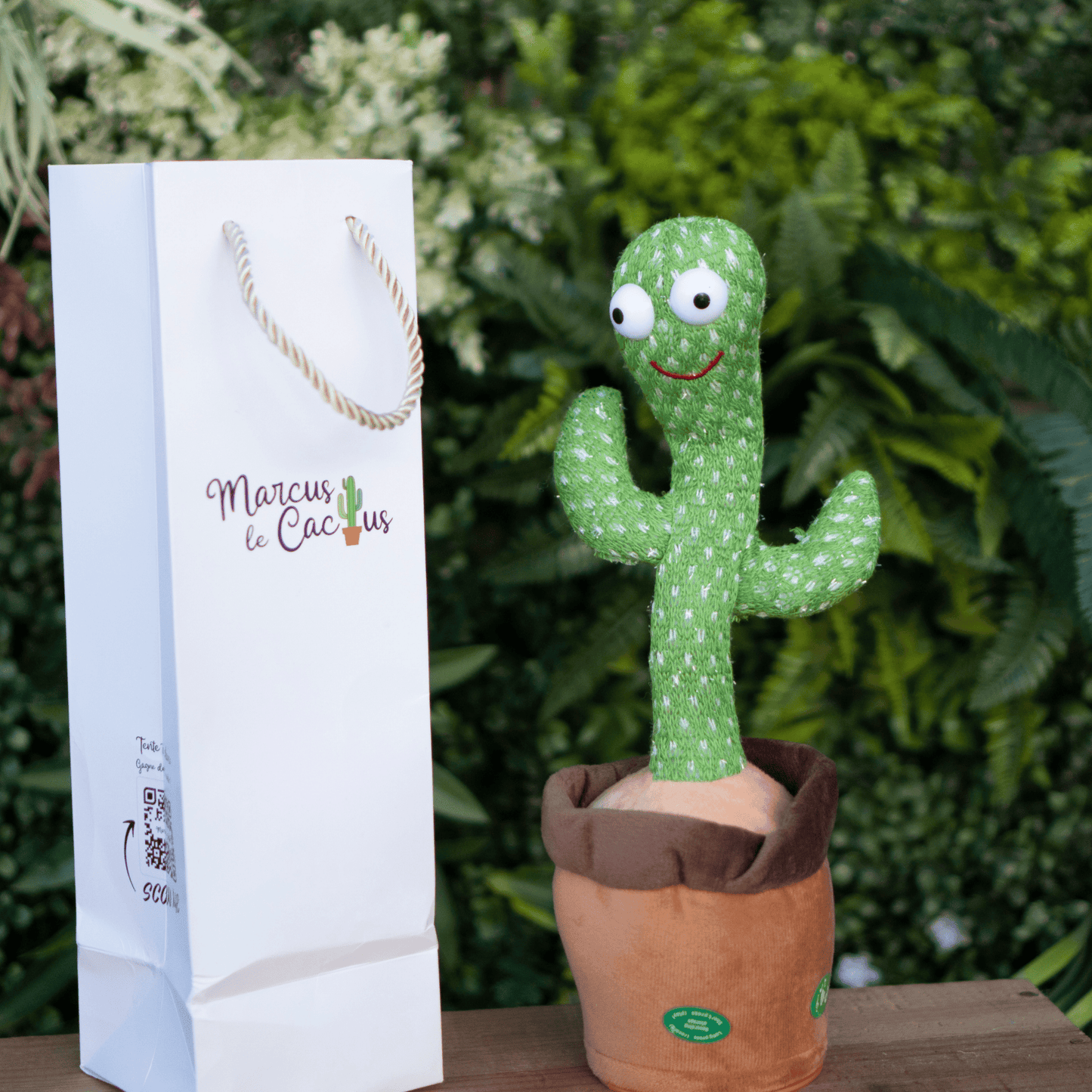 Marcus the Cactus™ - Cactus that talks, sings and dances