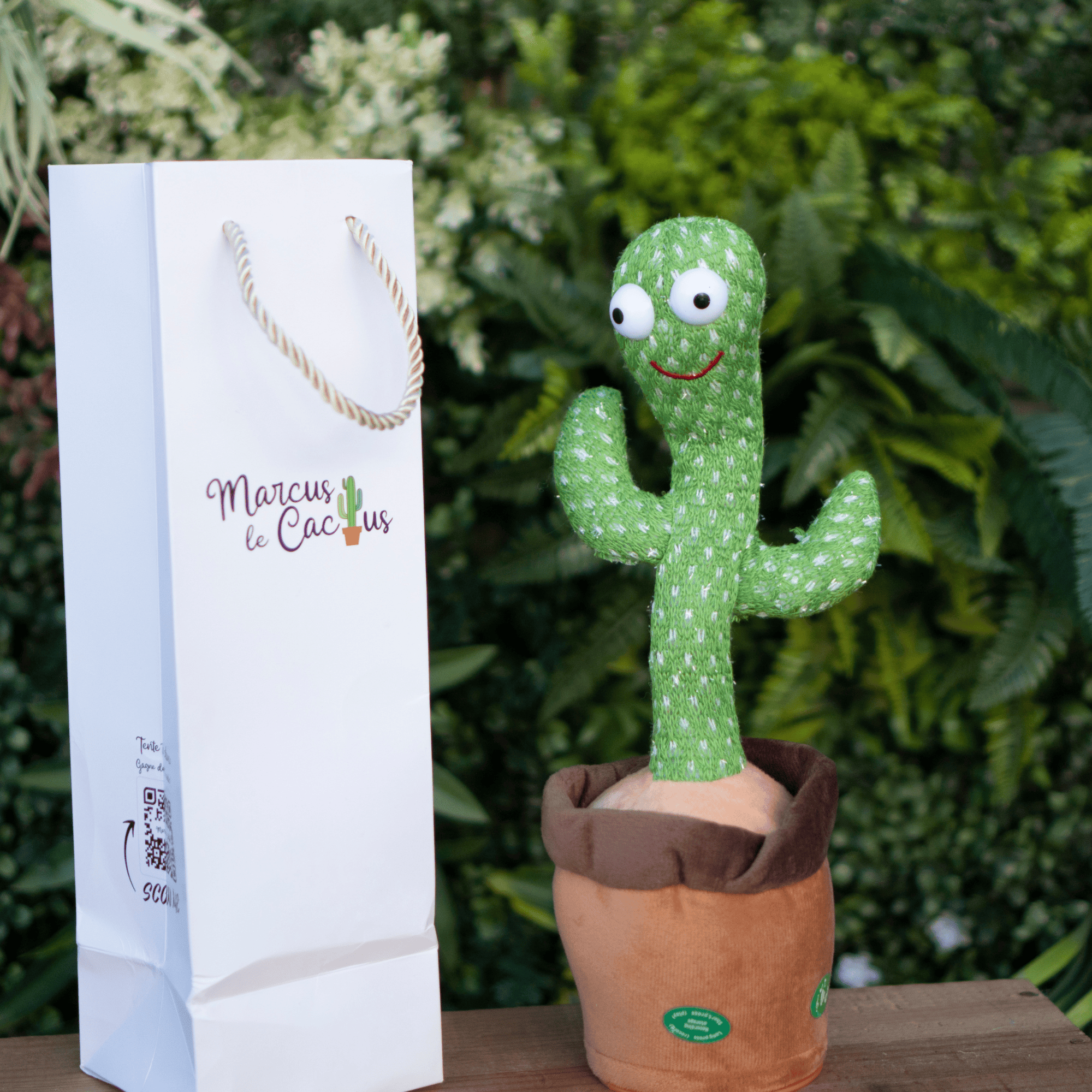 Cadeaux de Noël Bébés Cactus Qui Peuvent Chanter Et Danser Voix Interactive  Bled